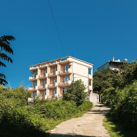 Мини - ГОСТИНИЦА ЛЮБИМЫЙ ДОМ Цихисдзирі Екстер'єр фото